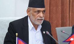 करिब ९५ हजार टन मल मौज्दात : कृषि मन्त्री अधिकारी