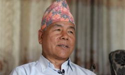 ‘एमाले विद्यादेवीलाई राजनीतिमा लगाइएको प्रतिबन्ध संविधानको मौलिक हक विपरीत रहेको छ’