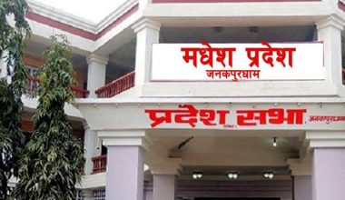 मधेसको ४४२ हेक्टर वन अतिक्रमण मुक्त