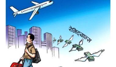 १५ प्रतिशतले बढ्यो रेमिट्यान्स, चालु आवको ११ महिनामा भित्रियो १५ खर्ब ३२ अर्ब