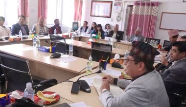 हवाई सेवाको संस्थागत सुधारमा ध्यान दिने गरि कानून बनाउनुपर्नेमा सांसदहरुकाे जोड