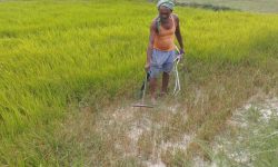 Madhes Province declared draught-hit zone