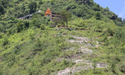 केदारनाथमा पदमार्ग निर्माण