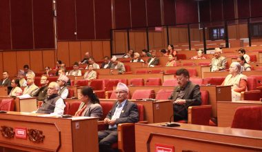 भ्रष्टाचार नियन्त्रणमा सरकार गम्भीर हुनुपर्नेमा सांसदहरुको जोड