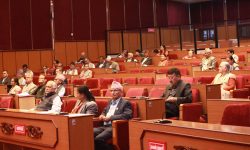 ‘सामाजिक सञ्जाललाई सन्तुलित र उत्तरदायी बनाउनुपर्छ’