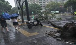 साङ्घाईमा आँधीका कारण करीव तीनलाख मानिसलाई सुरक्षित स्थलमा सारियो