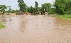 बाढीको त्रास : लठ्ठागौरीका बासिन्दा त्रिपाल टाँगेर बस्न बाध्य