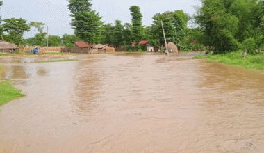 बाढीको त्रास : लठ्ठागौरीका बासिन्दा त्रिपाल टाँगेर बस्न बाध्य