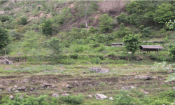 सिँचाइमा क्षति पुग्दा बाँझिए खेतबारी