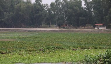 साढे पाँच करोडको लगानीमा बन्धातालमा पूर्वाधार निर्माण गरिँदै