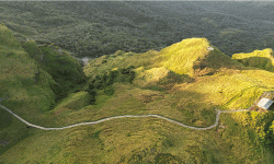 जलजला जोड्ने पदमार्ग निर्माण