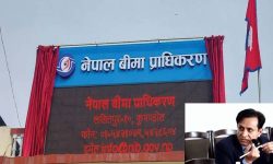 बीमा प्राधिकरणको जिम्मेवारी सहसचिव पोखरेललाई