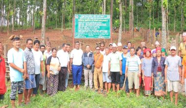 तनहुँको सामुदायिक वन सर्पगन्धाको व्यावसायिक खेती