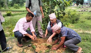कञ्चनपुरमा सप्ताहव्यापी वृक्षरोपण अभियान