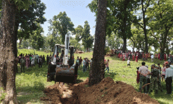 अतिक्रमित वन क्षेत्र खाली गराई वृक्षरोपण