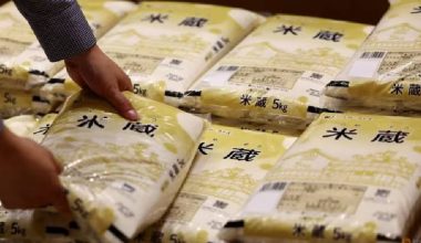 जापानमा चामलको मूल्य दोब्बर, प्रधानमन्त्रीमाथि दबाब