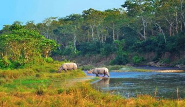 वन्यजन्तु जोगाउन संरक्षण पाठशाला सञ्चालन