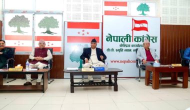 कांग्रेसले संविधान संशोधनका लागि कार्यदल गठन गर्ने