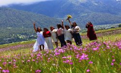 ढोरपाटन एक वर्षमा पुगे २३ हजार पर्यटक