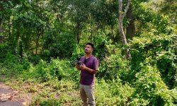 रौतहटमा ‘ड्रोन’बाट वनक्षेत्रको निगरानी