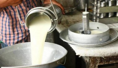 तनहुँका किसानलाई दूधमा अनुदानबापत ९७ लाख वितरण