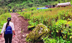 ‘पर्यटक बढेपछि गोठमै आम्दानी’