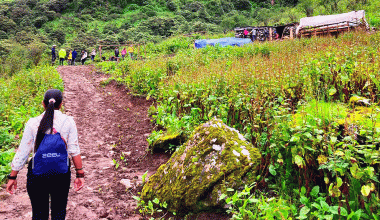 ‘पर्यटक बढेपछि गोठमै आम्दानी’