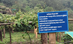 मसालाबाली खेती गर्ने किसानलाई अनुदान