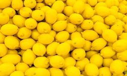 कागती बिक्री नहुँदा किसान समस्यामा