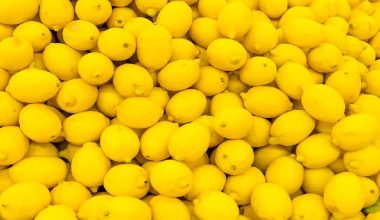 कागती बिक्री नहुँदा किसान समस्यामा