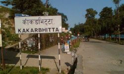 काँकडभिट्टा नाकाबाट ४७ अर्ब ६० करोड बराबारको सामान आयात