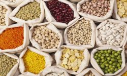 हिमाली क्षेत्रमा बढी मूल्यवृद्धि