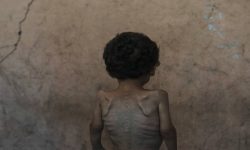 गाजामा ‘अनिकालको सबैभन्दा खराब अवस्था’ भइरहेको छ : खाद्य सङ्कट विशेषज्ञहरू