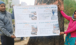 महाकाली सामुदायिक वनको घुम्ती कोषले गरिबी घटाउँदै, रोजगारी बढाउँदै