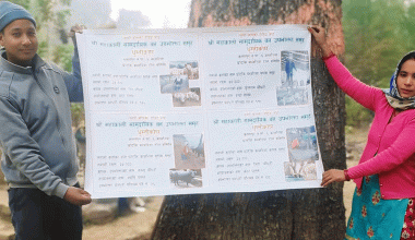 महाकाली सामुदायिक वनको घुम्ती कोषले गरिबी घटाउँदै, रोजगारी बढाउँदै