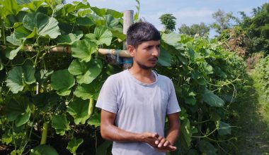 मौसमी सागसब्जी बेचेर मासिक दुई लाख आर्जन