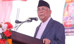 प्रधानमन्त्री ओलीद्वारा कुशे औँसीको शुभकामना