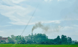 ‘असफाल्ट प्लान्ट’को प्रदूषणले बस्तीमा सास्ती