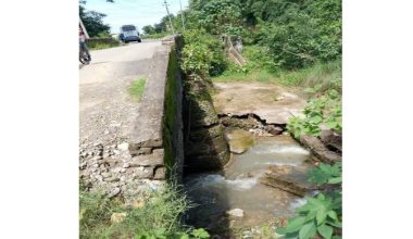 टोटीखोलाको पुल जीर्ण, जोखिम मोलेर हिँड्नुपर्ने बाध्यता