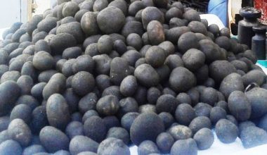 थारु समुदायको भान्सामा हराउँदै ‘फुटकी च्याउ’ को स्वाद