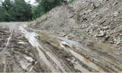 दैजी–जोगबुढा सडक : पञ्चायतमा ‘ट्रयाक’ खुल्यो, सडक अझै अधुरै