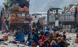 पाकिस्तानमा रहेका अफगान शरणार्थीलाई निर्वासनको डर