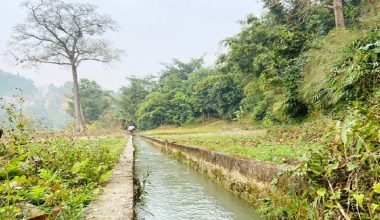 सतह सिँचाइको व्यवस्था नभएका क्षेत्रमा वैकल्पिक सिँचाइ