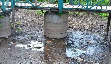 खडेरीले सुक्न थाल्यो बेतना सिमसार