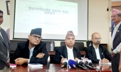 जिल्ला अदालत काठमाडौंमा पाँच वर्षमा दोब्बर मुद्दा