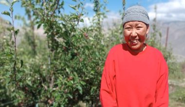 व्यावसायिक स्याउ खेतीले गुरुङ दम्पत्तिलाई दिएको आनन्द