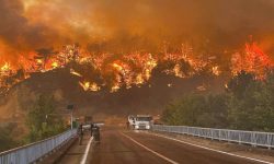 टर्कीको चौथो ठूलो सहरमा आगलागीको खतरा, स्थानीयलाई सुरक्षित स्थानमा सारियो