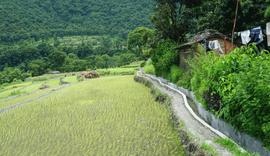 बाउन्न हेक्टरमा सिँचाइ सुविधा विस्तार