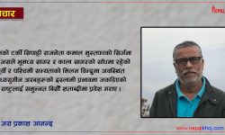 ‘इम्बोस्ड नम्बर प्लेट विवाद : भाषिक राष्ट्रवाद र व्यवहारिकताको दोधारमा नेपाल’