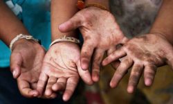 ‘घरेलु बालश्रम रोक्न स्थानीय सरकार जिम्मेवार’